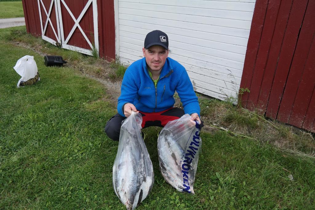 Holmset Camping And Fishing Namdalseid Екстер'єр фото